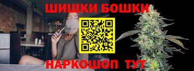 крисы Камышлов