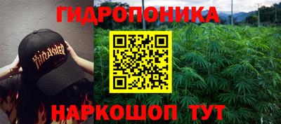 крисы Камышлов