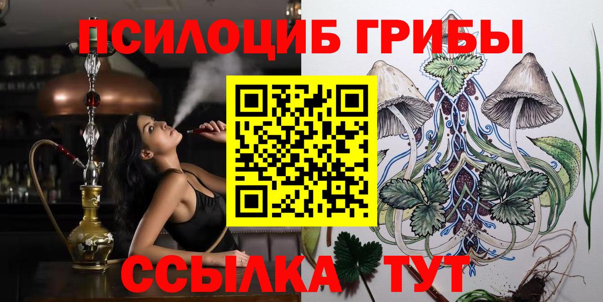 Галлюциногенные грибы Psilocybine cubensis Кузнецк