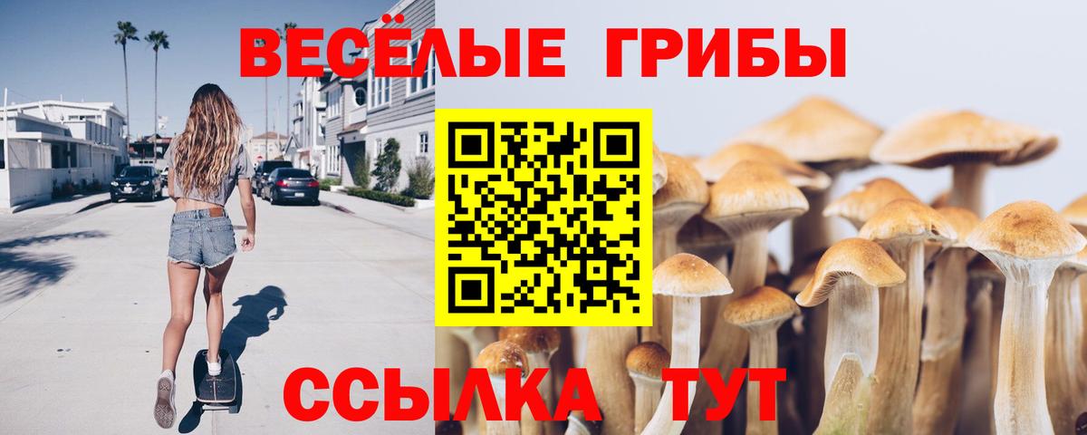 Псилоцибиновые грибы MAGIC MUSHROOMS  Вход с VPN  Кузнецк 